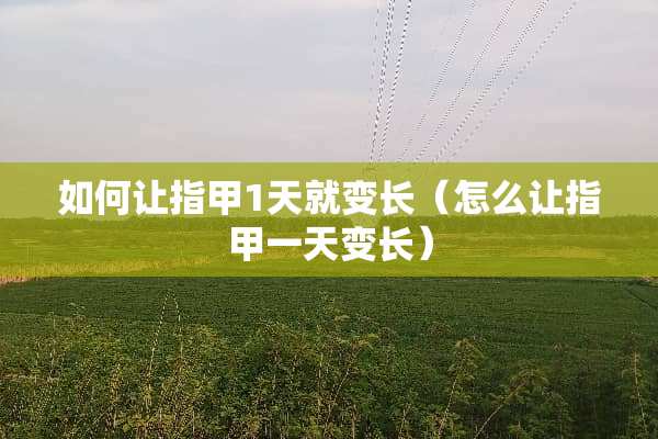 如何让指甲1天就变长(怎么让指甲一天变长) 如何让指甲1天就变长(怎么让指甲一天变长)
