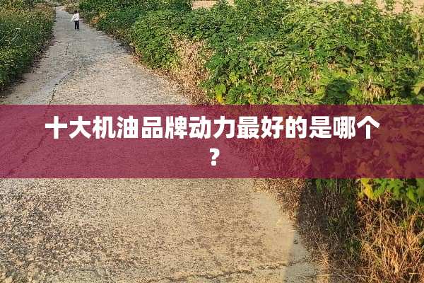 十大机油品牌动力最好的是哪个？