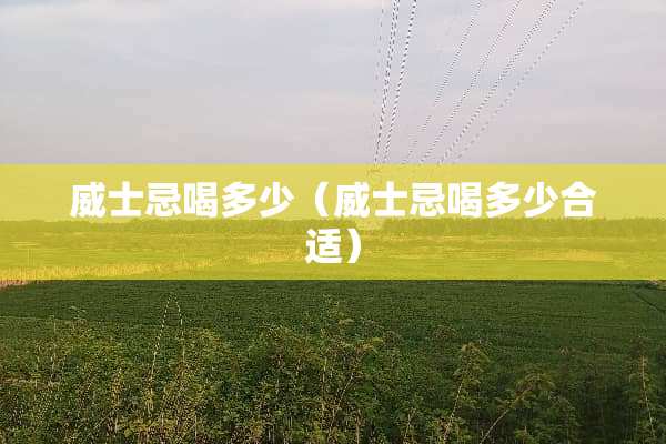 威士忌喝多少（威士忌喝多少合适）