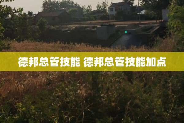 德邦总管技能 德邦总管技能加点