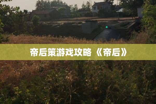帝后策游戏攻略 《帝后》