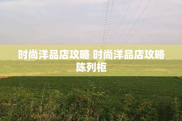 时尚洋品店攻略 时尚洋品店攻略陈列柜