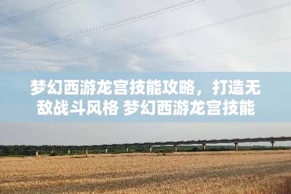 梦幻西游龙宫技能攻略，打造无敌战斗风格 梦幻西游龙宫技能
