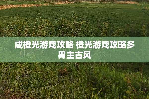 成橙光游戏攻略 橙光游戏攻略多男主古风