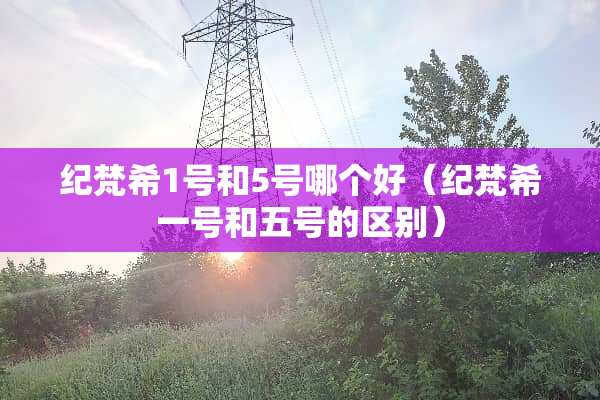 纪梵希1号和5号哪个好（纪梵希一号和五号的区别）