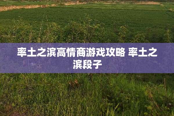 率土之滨高情商游戏攻略 率土之滨段子