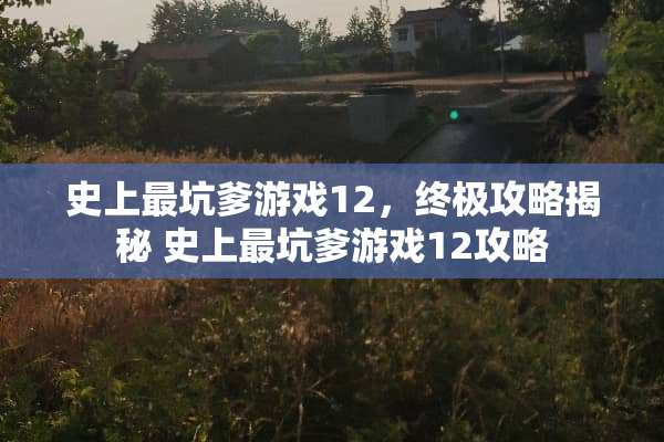 史上最坑爹游戏12，终极攻略揭秘 史上最坑爹游戏12攻略