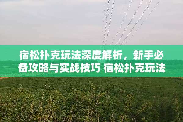 宿松**玩法深度解析，新手必备攻略与实战技巧 宿松**玩法