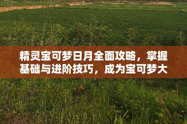 精灵宝可梦日月全面攻略，掌握基础与进阶技巧，成为宝可梦大师！ 精灵宝可梦日月攻略