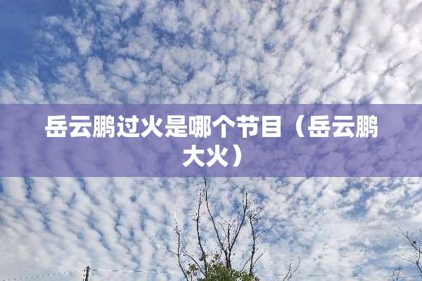 岳云鹏过火是哪个节目（岳云鹏大火）