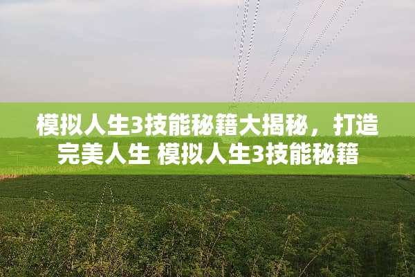 模拟人生3技能秘籍大揭秘，打造完美人生 模拟人生3技能秘籍
