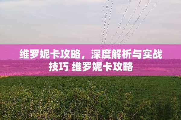 维罗妮卡攻略，深度解析与实战技巧 维罗妮卡攻略
