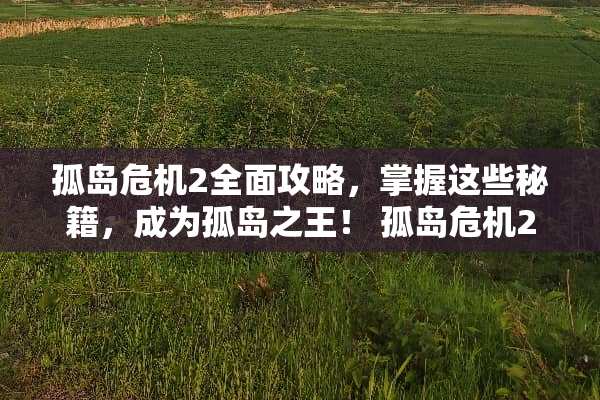 孤岛危机2全面攻略，掌握这些秘籍，成为孤岛之王！ 孤岛危机2游戏攻略