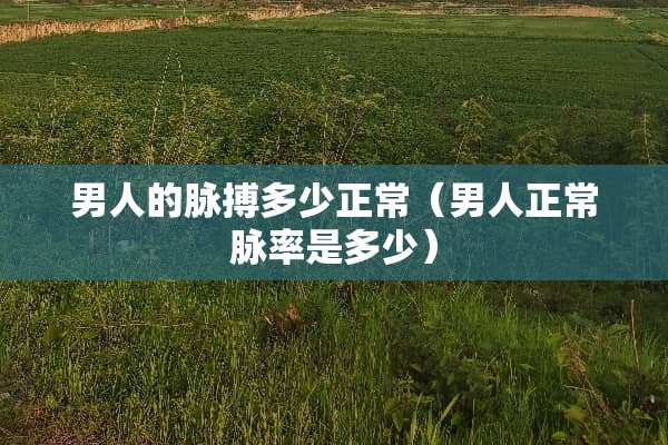 男人的脉搏多少正常（男人正常脉率是多少）
