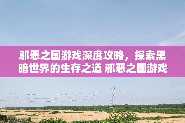 **之国游戏深度攻略，探索黑暗世界的生存之道**之国游戏攻略