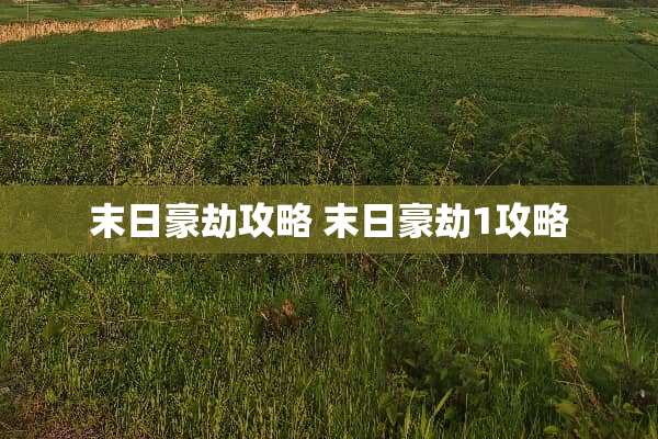 末日豪劫攻略 末日豪劫1攻略