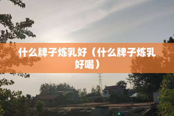 什么牌子炼*好（什么牌子炼*好喝）