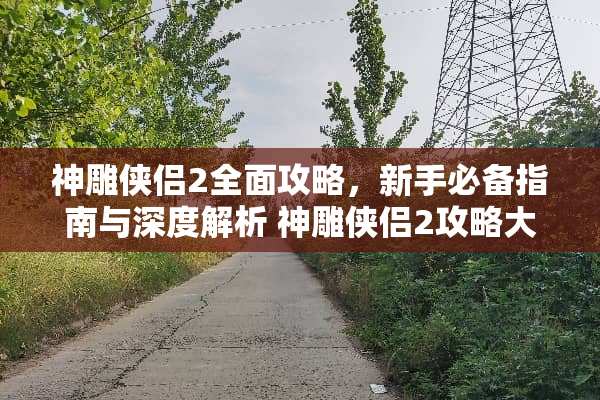 神雕侠侣2全面攻略，新手必备指南与深度解析 神雕侠侣2攻略大全