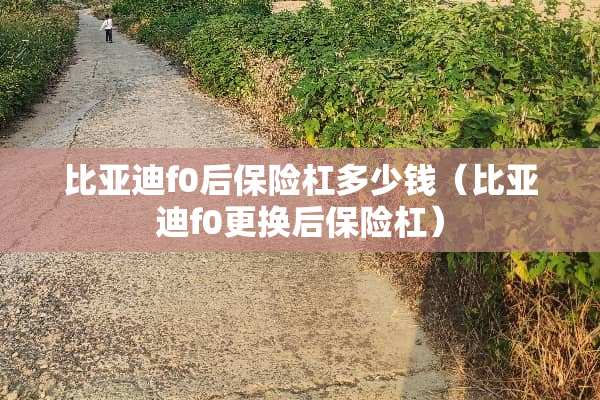 比亚迪f0后保险杠多少钱（比亚迪f0更换后保险杠）