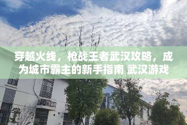 穿越火线，*战王者武汉攻略，成为城市霸主的新手指南 武汉游戏攻略公司