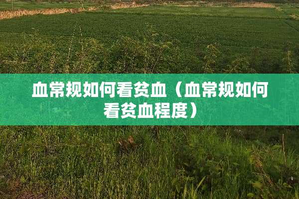 血常规如何看贫血（血常规如何看贫血程度）