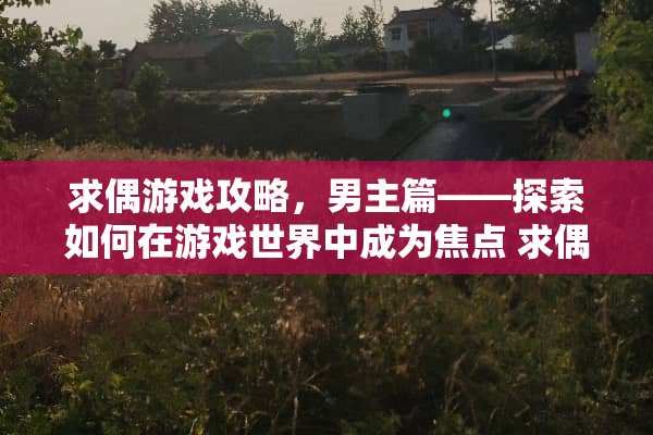 求偶游戏攻略，男主篇——探索如何在游戏世界中成为焦点 求偶游戏攻略男主