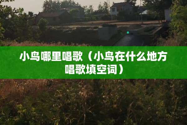 小鸟哪里唱歌（小鸟在什么地方唱歌填空词）