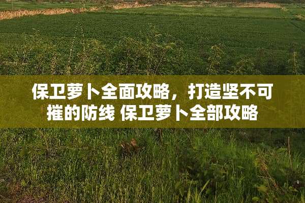 保卫萝卜全面攻略，打造坚不可摧的防线 保卫萝卜全部攻略
