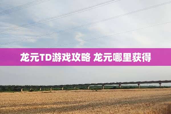 龙元TD游戏攻略 龙元哪里获得