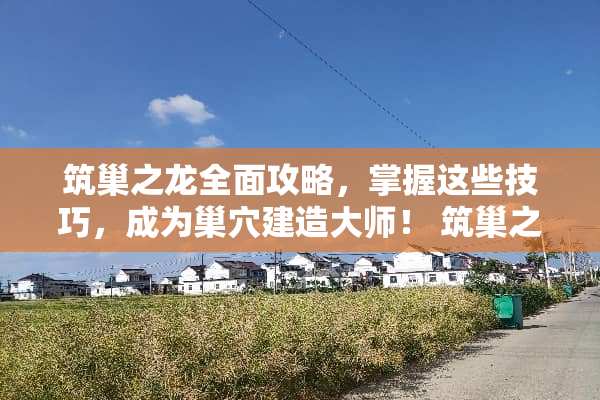 筑巢之龙全面攻略，掌握这些技巧，成为巢*建造大师！ 筑巢之龙攻略