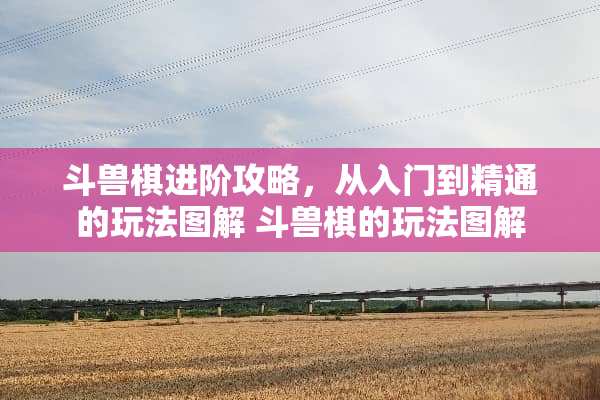 斗兽棋进阶攻略，从入门到精通的玩法图解 斗兽棋的玩法图解