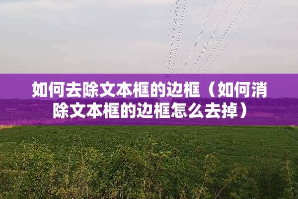 如何去除文本框的边框（如何消除文本框的边框怎么去掉）