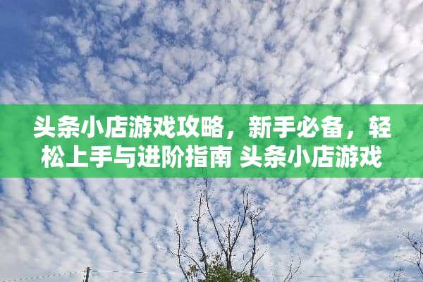 头条小店游戏攻略,新手必备,轻松上手与进阶指南 头条小店游戏攻略 头条小店游戏攻略,新手必备,轻松上手与进阶指南 头条小店游戏攻略
