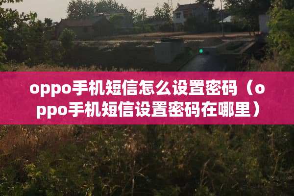 oppo手机短信怎么设置密码（oppo手机短信设置密码在哪里）
