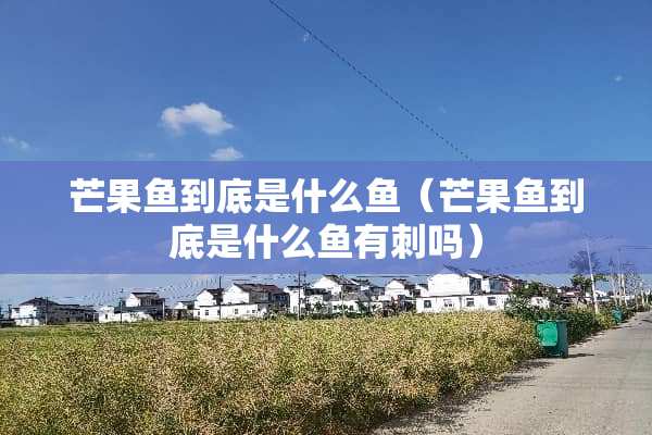 芒果鱼到底是什么鱼（芒果鱼到底是什么鱼有刺吗）