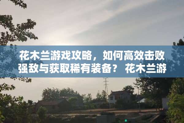 花木兰游戏攻略，如何高效击败强敌与获取稀有装备？ 花木兰游戏攻略不下来