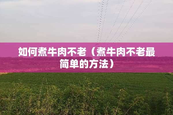 如何煮牛肉不老（煮牛肉不老最简单的方法）
