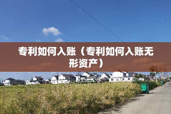专利如何入账（专利如何入账无形资产）