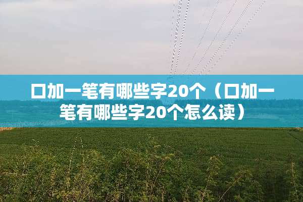 口加一笔有哪些字20个（口加一笔有哪些字20个怎么读）