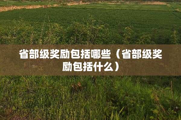 省部级奖励包括哪些（省部级奖励包括什么）