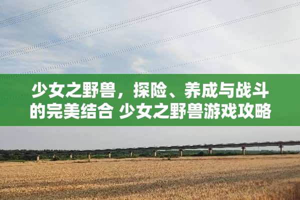 少女之野兽，探险、养成与战斗的完美结合 少女之野兽游戏攻略