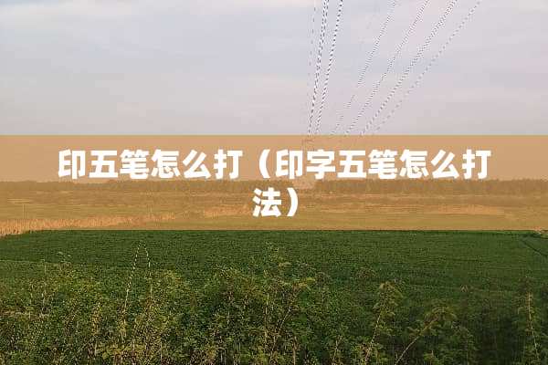 印五笔怎么打(印字五笔怎么打法) 印五笔怎么打(印字五笔怎么打法)
