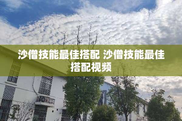 沙僧技能最佳搭配 沙僧技能最佳搭配视频