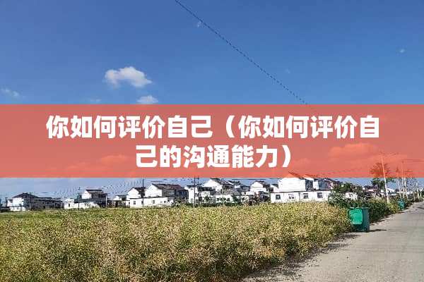 你如何评价自己（你如何评价自己的沟通能力）