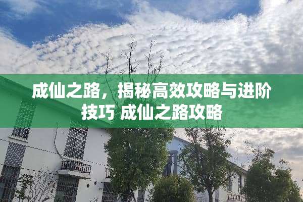 成仙之路，揭秘高效攻略与进阶技巧 成仙之路攻略