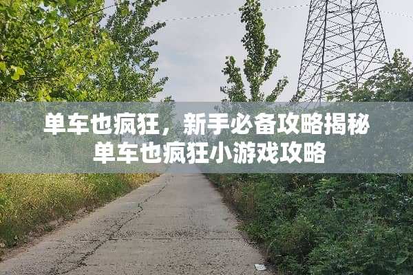 单车也疯狂，新手必备攻略揭秘 单车也疯狂小游戏攻略