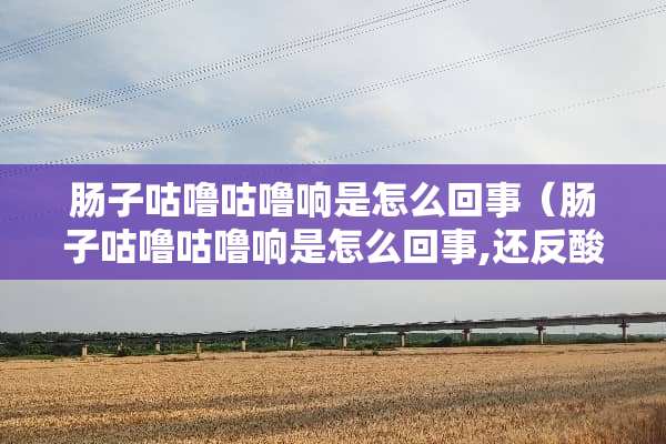 肠子咕噜咕噜响是怎么回事（肠子咕噜咕噜响是怎么回事,还反酸,恶心）
