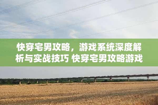 快穿宅男攻略，游戏系统深度解析与实战技巧 快穿宅男攻略游戏系统