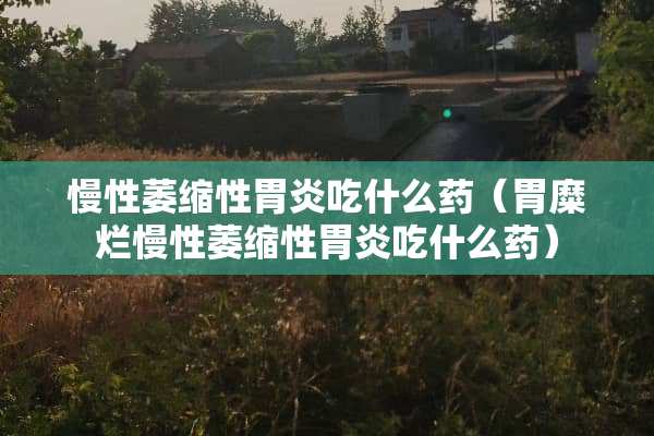 慢性萎缩性胃炎吃什么药（胃糜烂慢性萎缩性胃炎吃什么药）