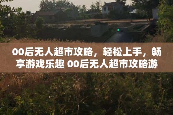 00后无人超市攻略，轻松上手，畅享游戏乐趣 00后无人超市攻略游戏